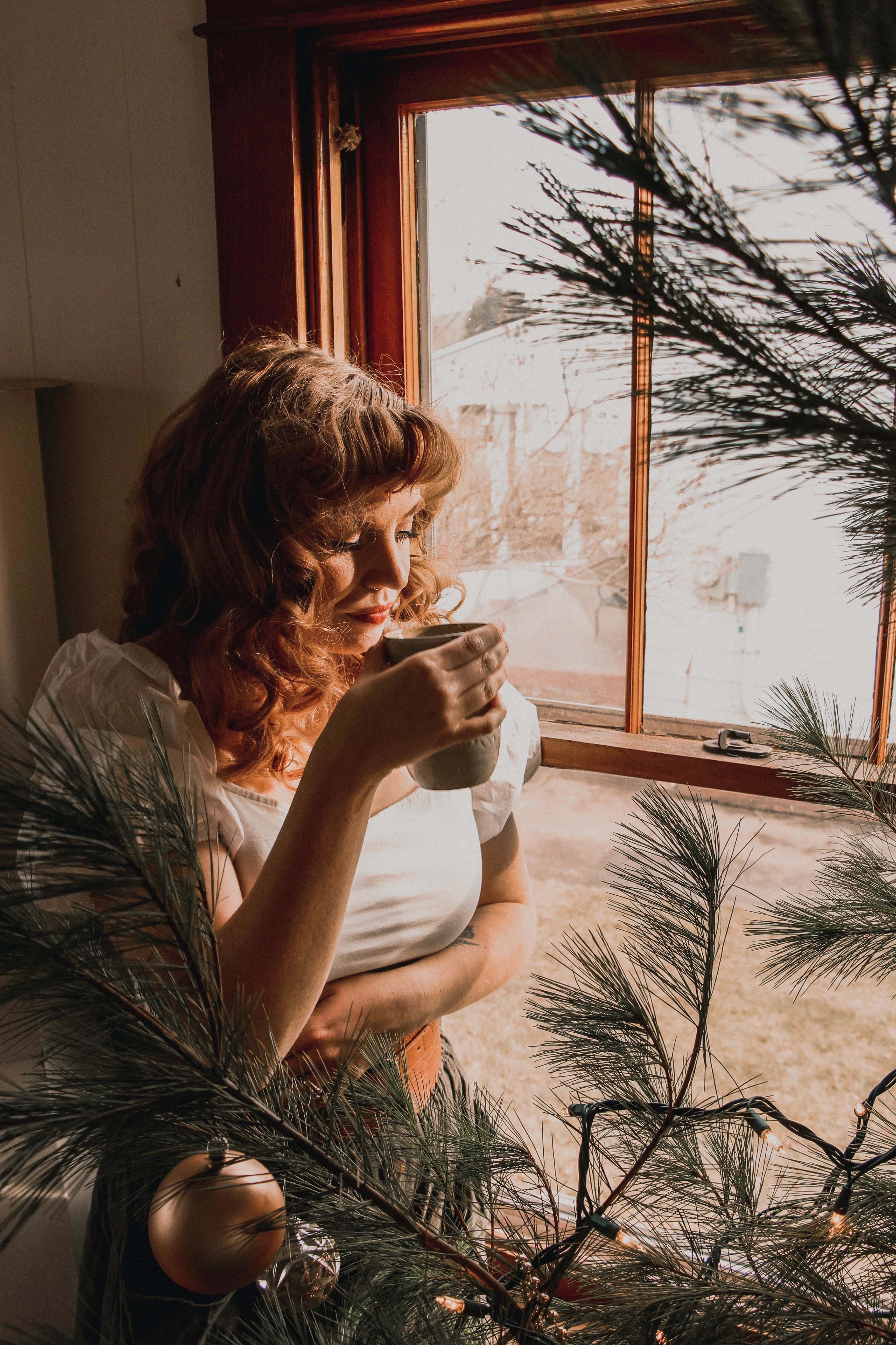 January 2026 Tea Subscription Box Offerings